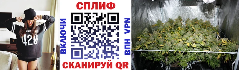Виды наркотиков купить Щигры MEGA рабочий сайт COCAIN АМФЕТАМИН Лсд 25 Меф мяу мяу ГАШ A PVP МАРИХУАНА
