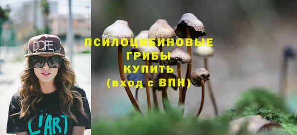 СК Алзамай