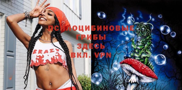 сатива Алексеевка