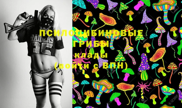 сатива Алексеевка